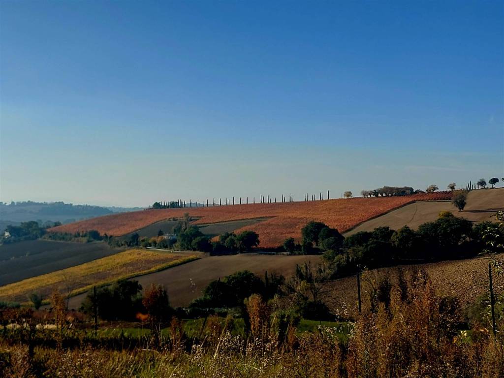 Casa indipendente a Morro d'alba - Foto 4