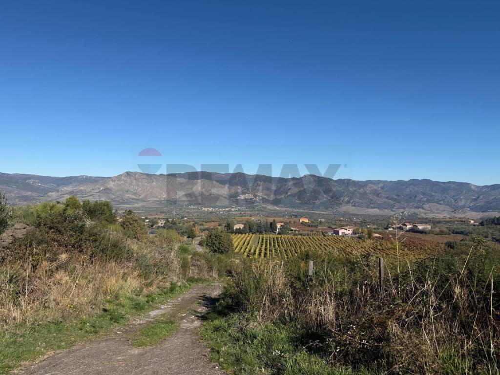 Terreno a Castiglione di sicilia in contrada marchesa - Foto 3