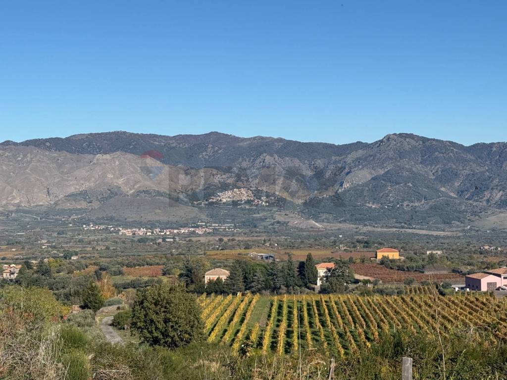 Terreno a Castiglione di sicilia in contrada marchesa - Foto 5