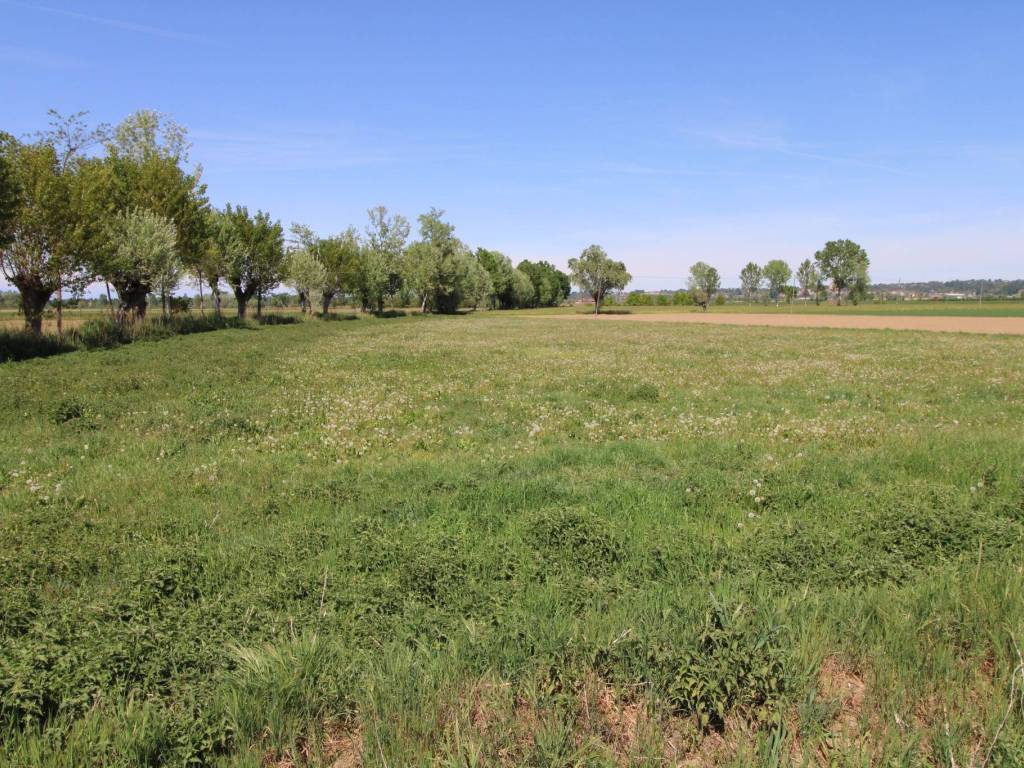 Terreno a Bra in Strada Casa del Bosco - Foto 3