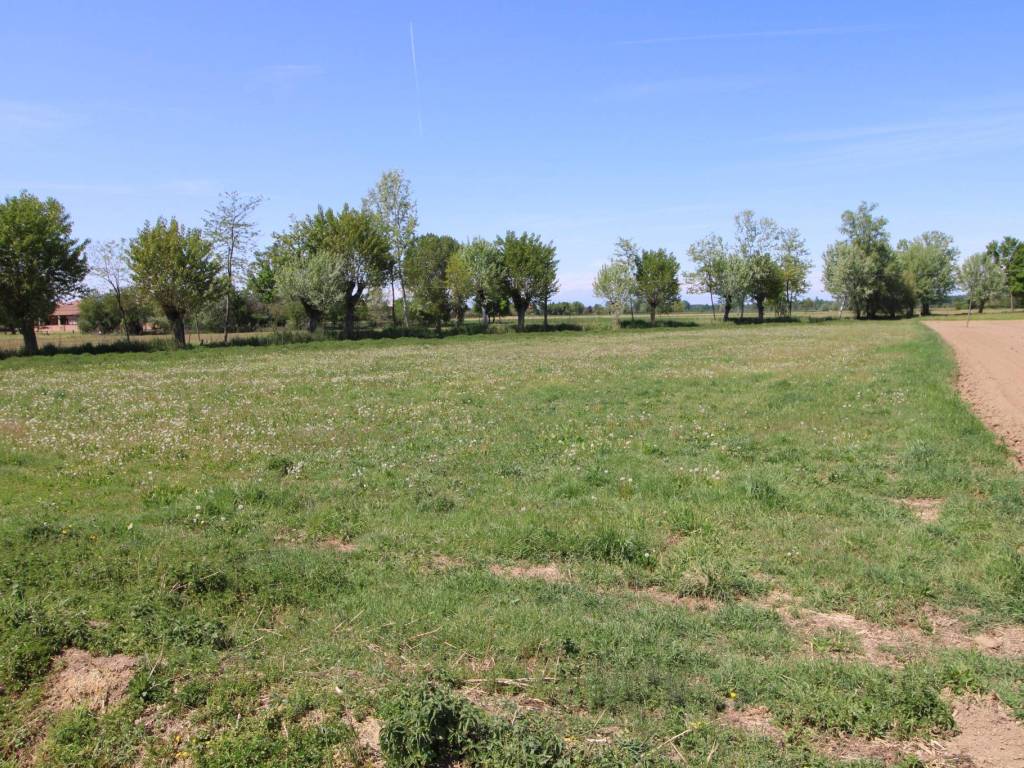 Terreno a Bra in Strada Casa del Bosco - Foto 4