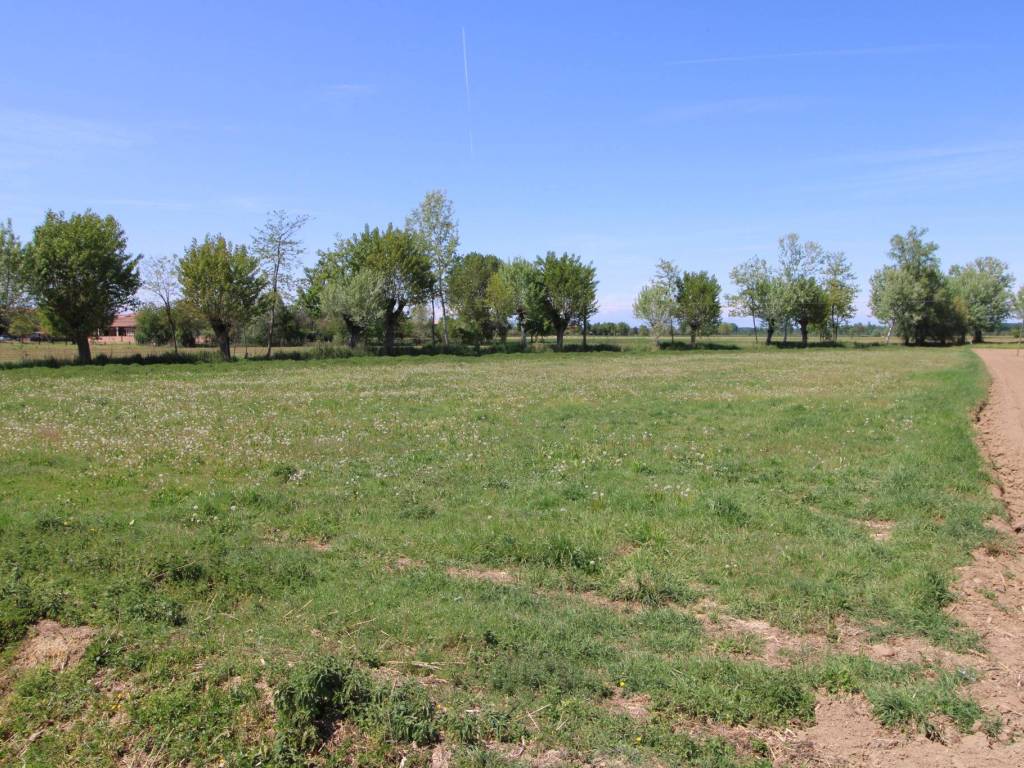 Terreno a Bra in Strada Casa del Bosco - Foto 5