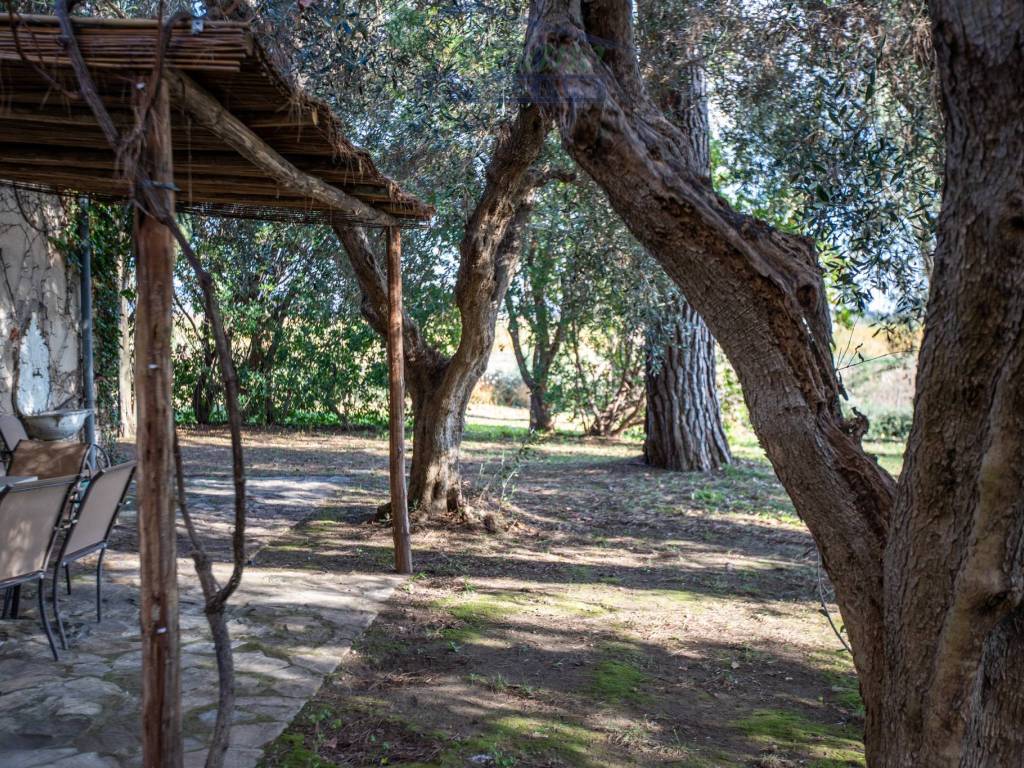 Rustico / casale a Capalbio in Strada dell'Abbadia - Foto 4