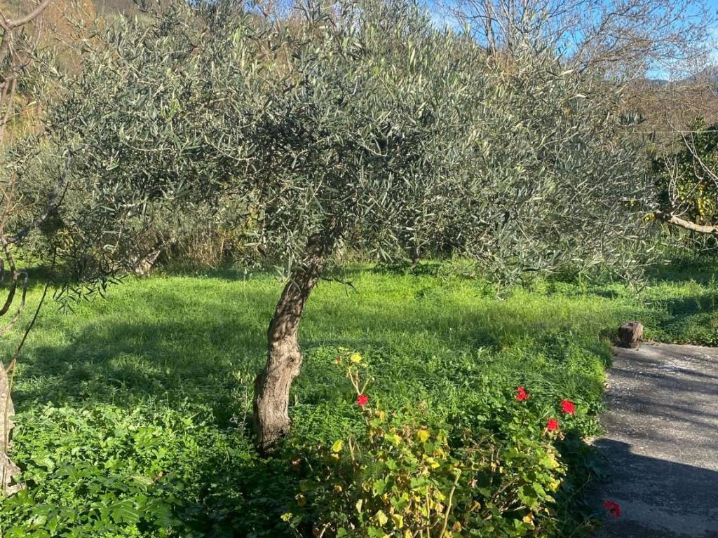 Villa a Castelbuono in Contrada Panarello - Foto 4