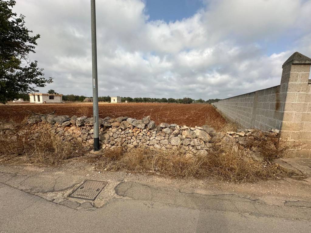 Terreno a Manduria in Contrada Pozzello - Foto 3