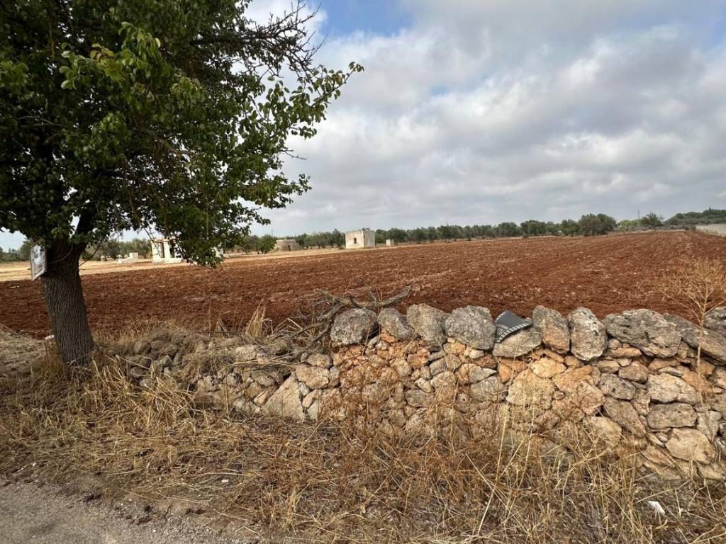 Terreno a Manduria in Contrada Pozzello - Foto 4
