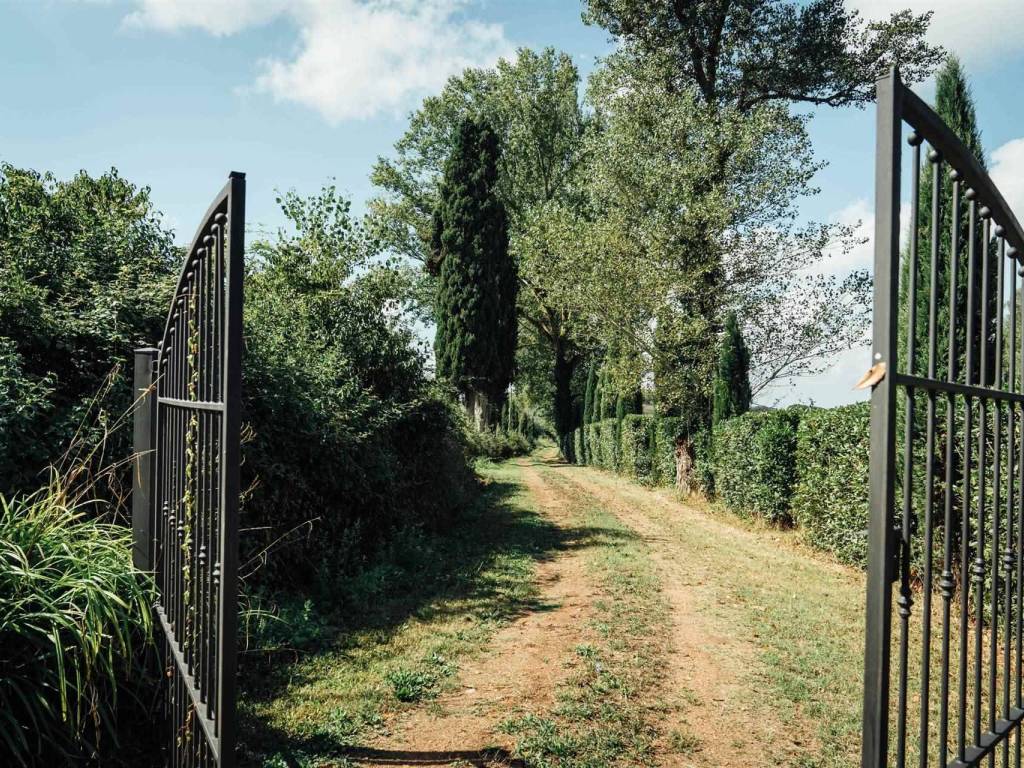 Rustico / casale a Casciana terme lari - Foto 2