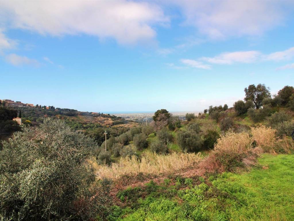 Rustico / casale a Castagneto carducci - Foto 5