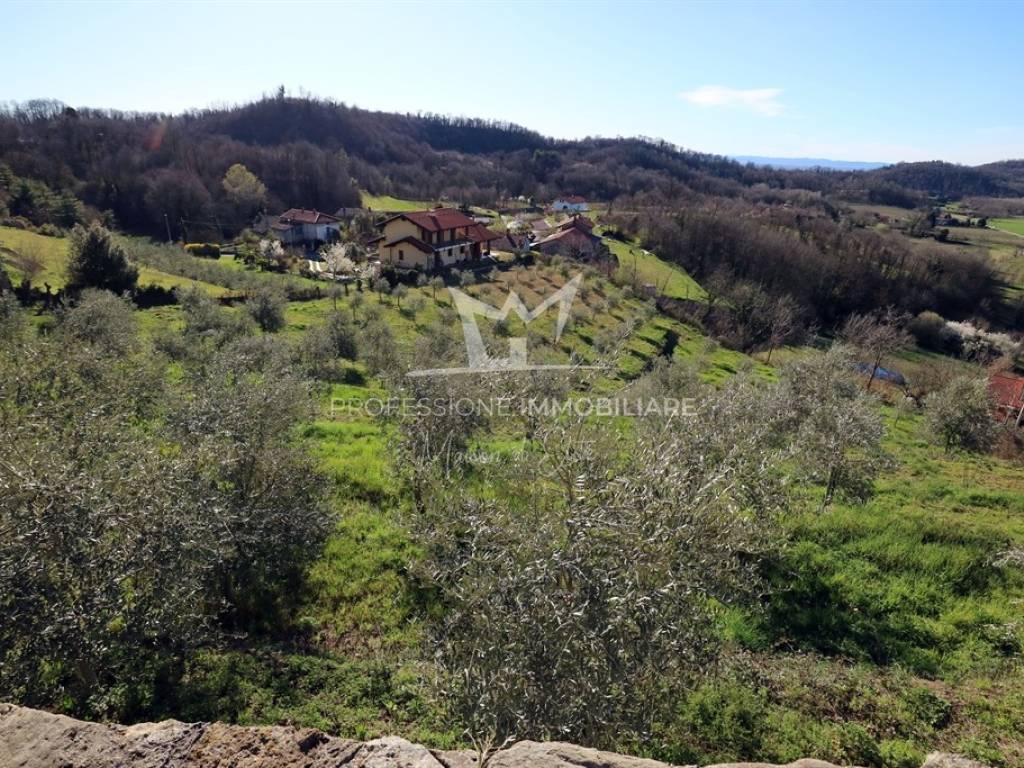 Terreno a Roppolo in Via Pietro Bicheri - Foto 2