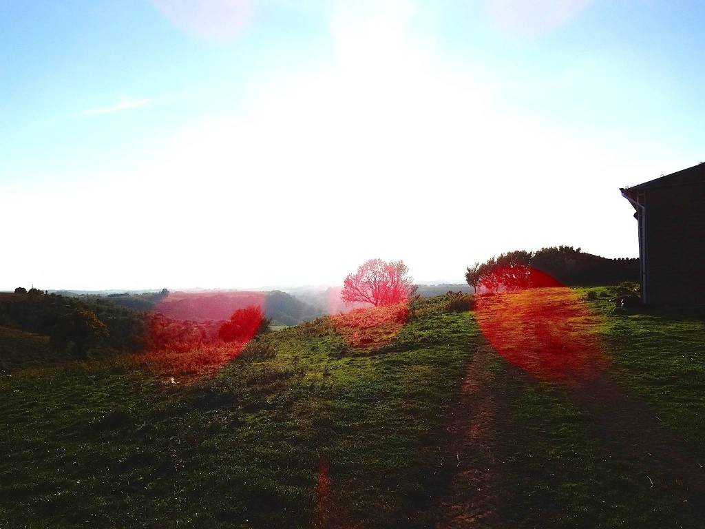 Rustico / casale a Pitigliano in Strada Provinciale Pantano, 9542 - Foto 2