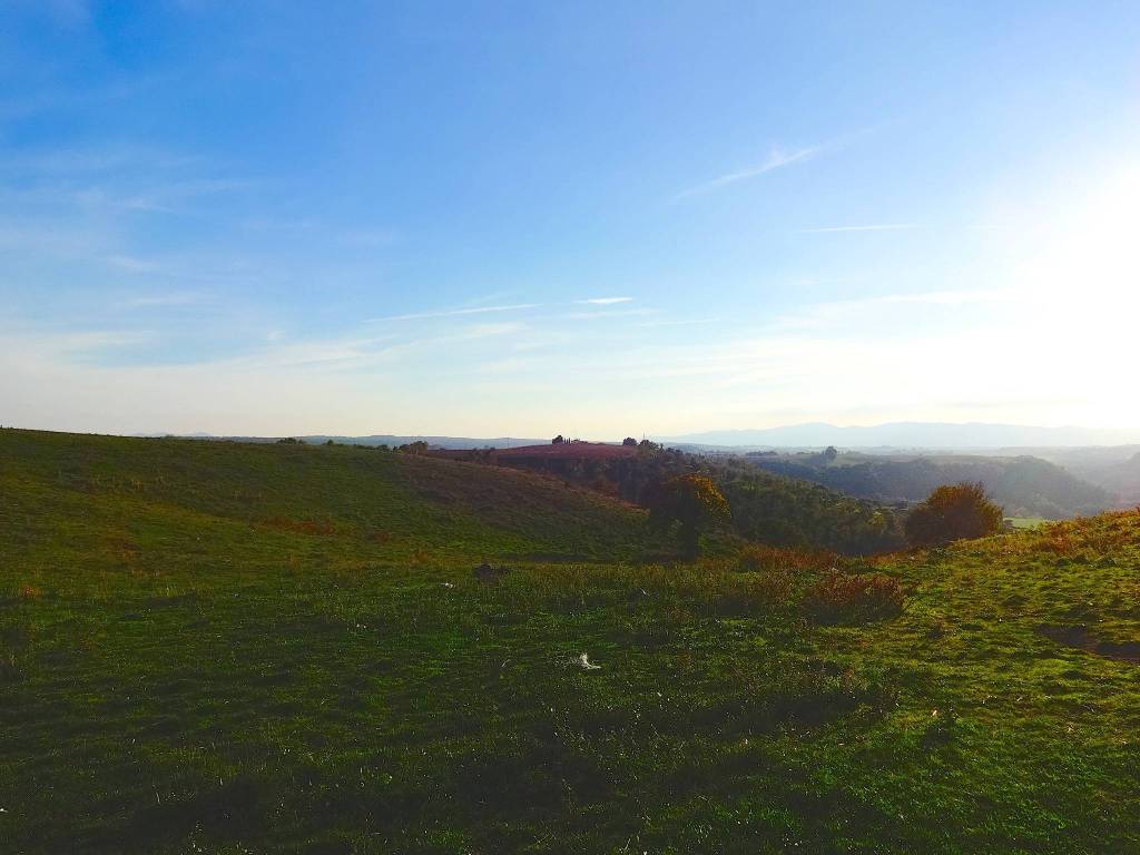 Rustico / casale a Pitigliano in Strada Provinciale Pantano, 9542 - Foto 3