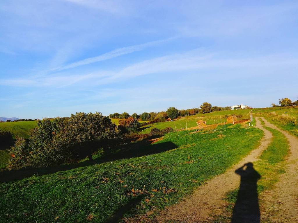Rustico / casale a Pitigliano in Strada Provinciale Pantano, 9542 - Foto 4