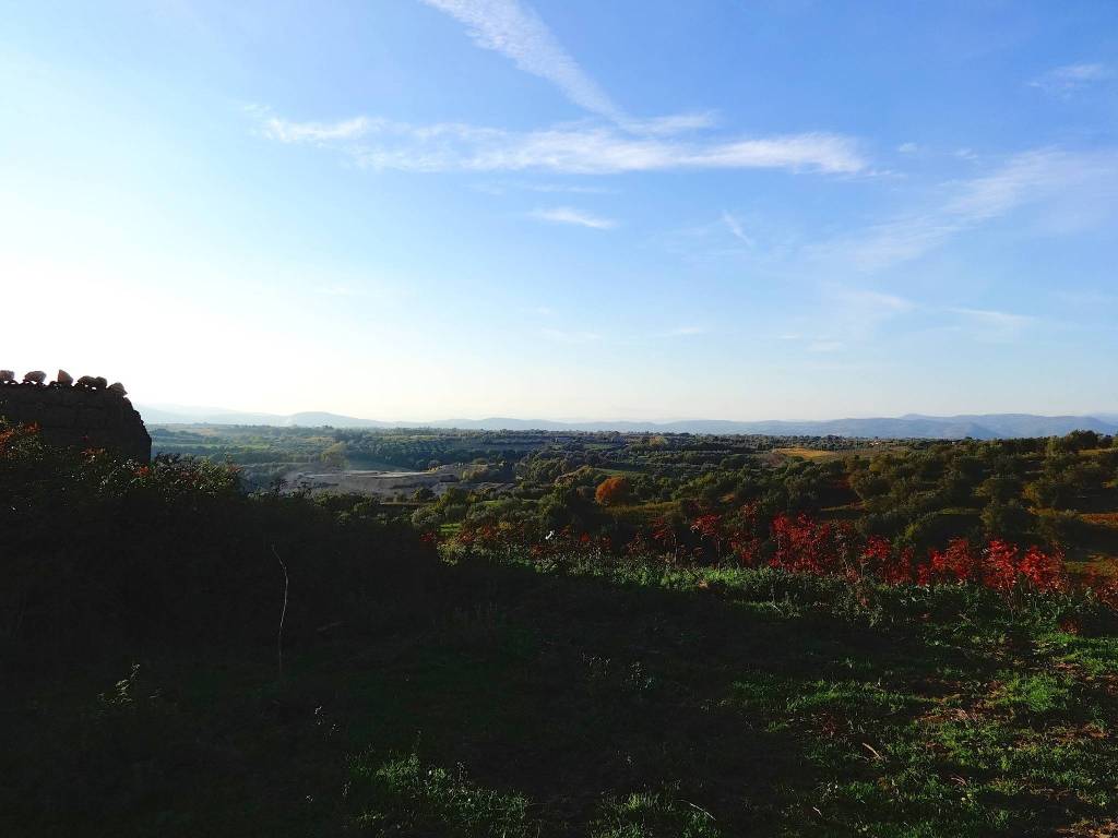 Rustico / casale a Pitigliano in Strada Provinciale Pantano, 9542 - Foto 5