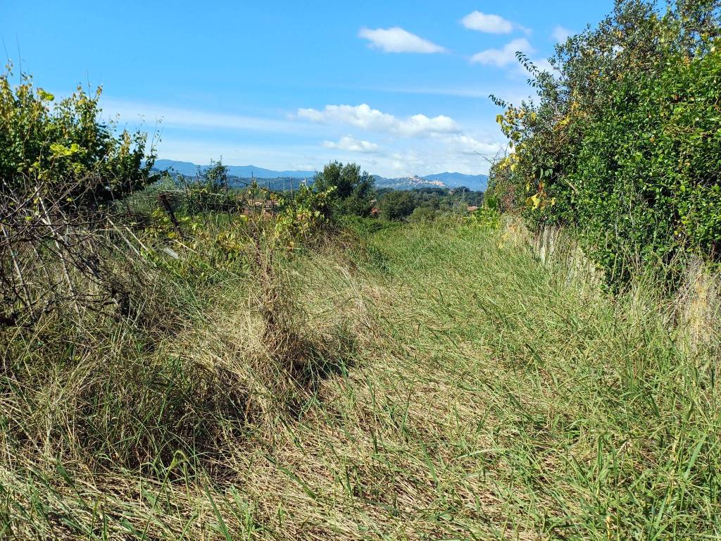 Terreno a Sarzana - Foto 3