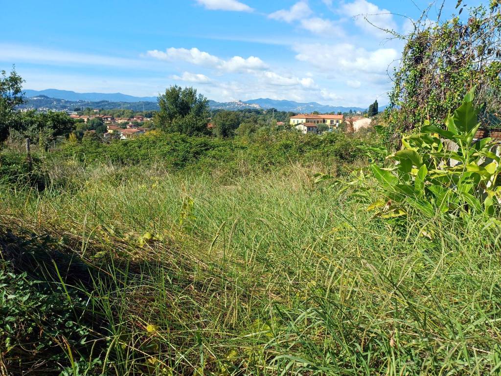 Terreno a Sarzana - Foto 4