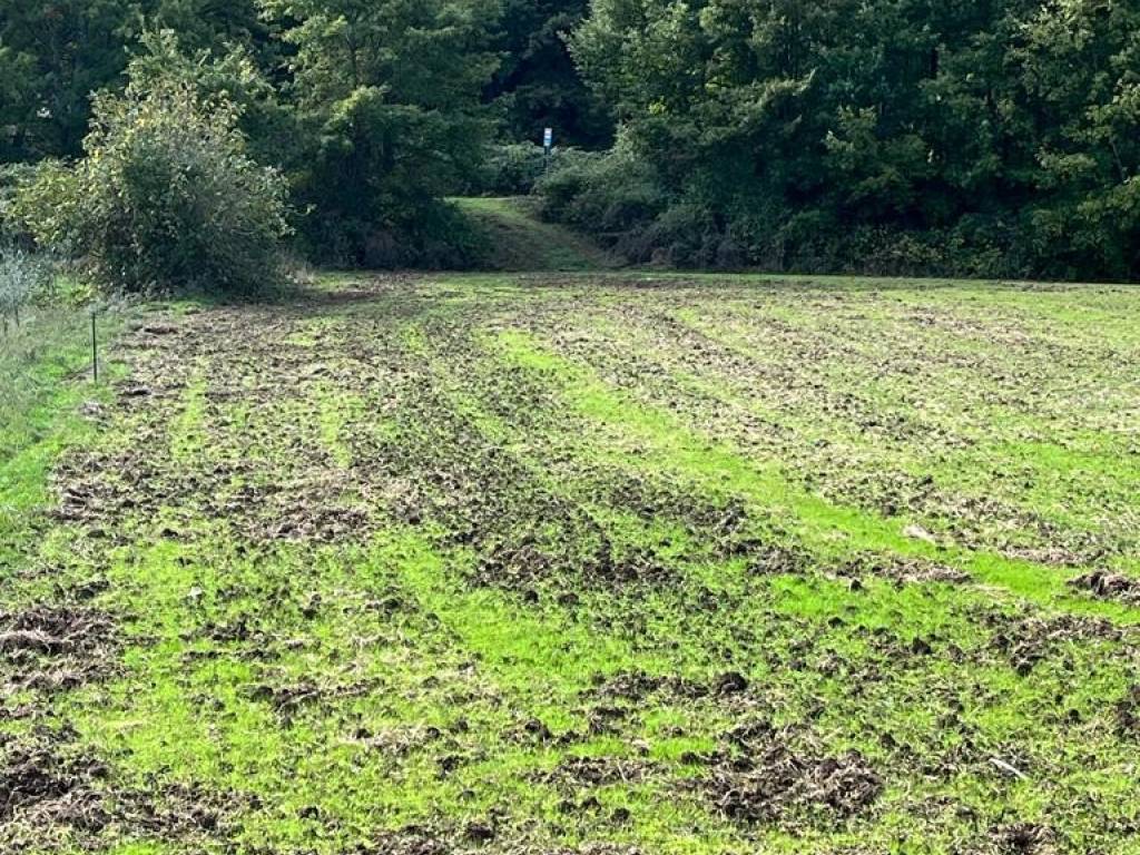 Terreno a Sorano in Strada Provinciale Pitigliano-Santa Fiora - Foto 2