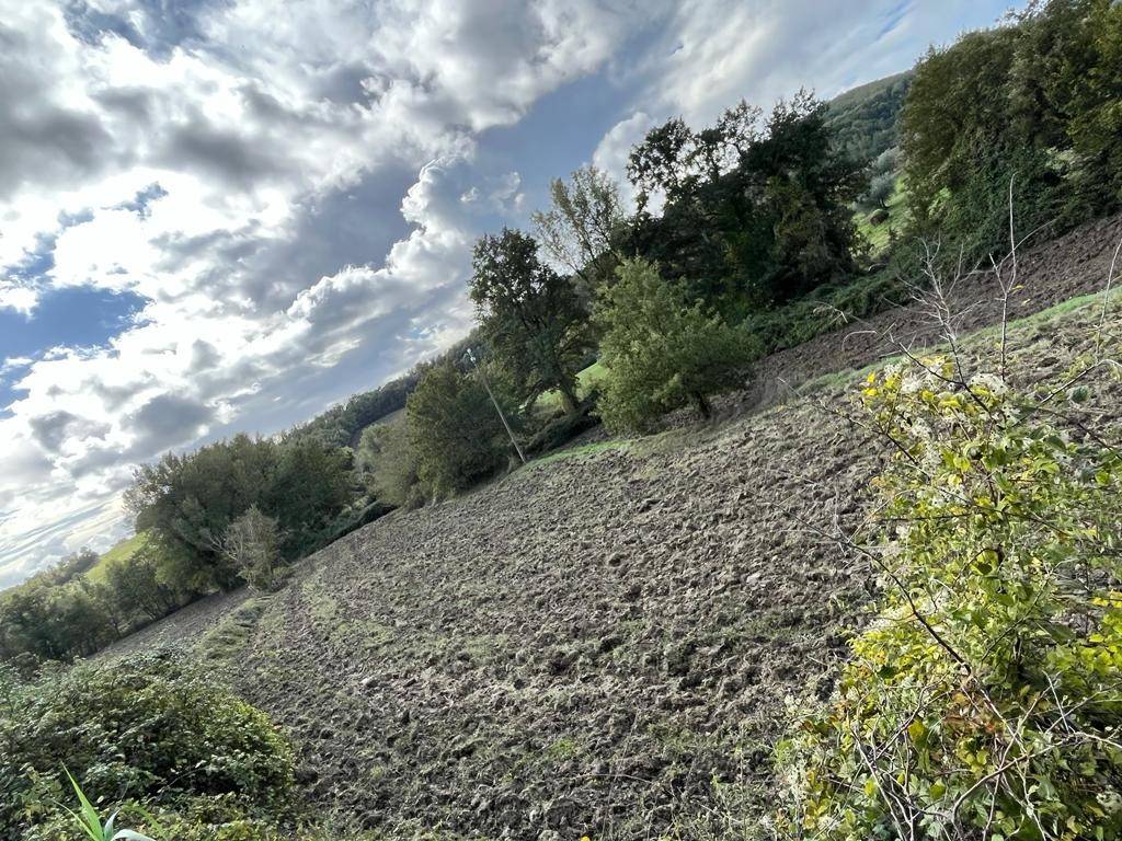 Terreno a Sorano in Strada Provinciale Pitigliano-Santa Fiora - Foto 3