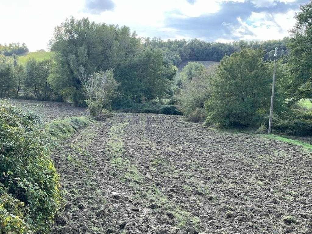 Terreno a Sorano in Strada Provinciale Pitigliano-Santa Fiora - Foto 4