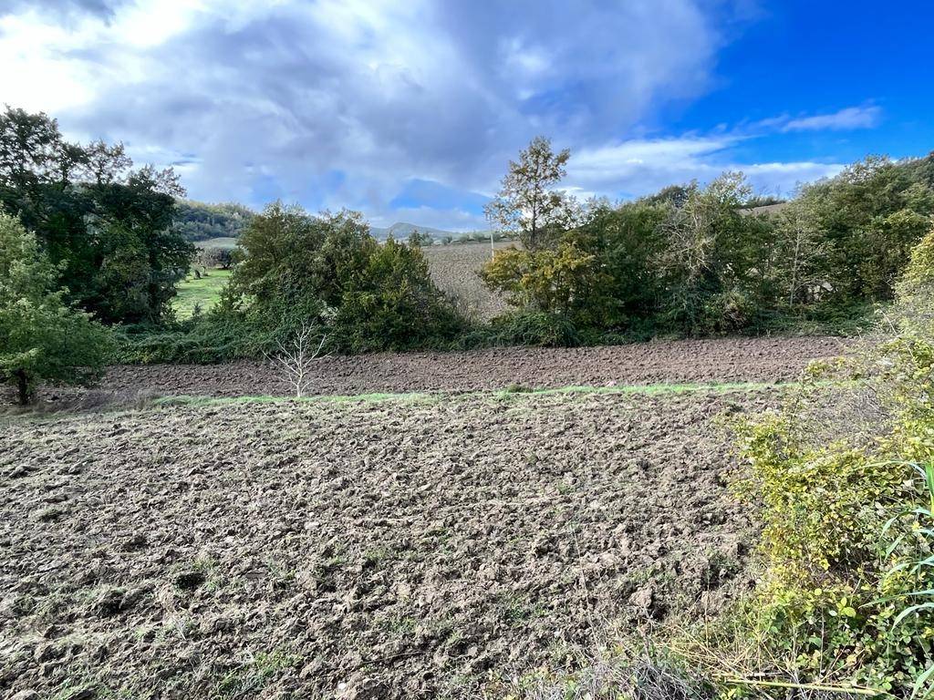 Terreno a Sorano in Strada Provinciale Pitigliano-Santa Fiora - Foto 5