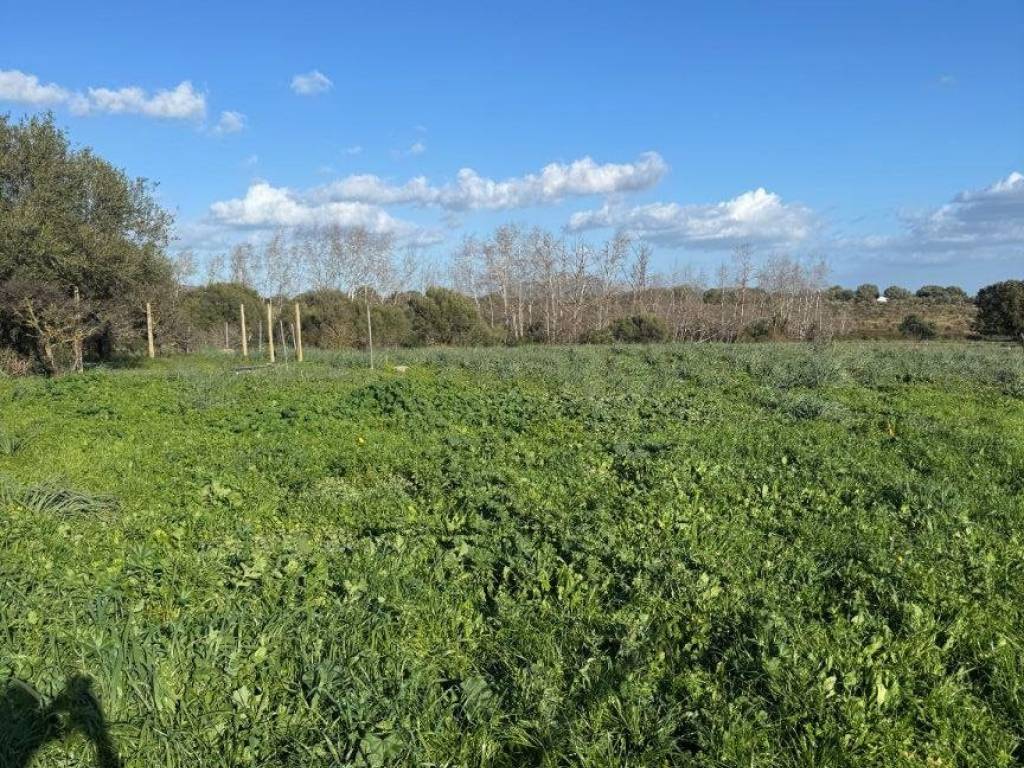 Terreno a Olbia in Via della Cantoniera Putzolu, 92 - Foto 2