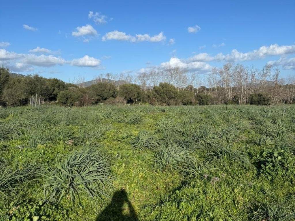 Terreno a Olbia in Via della Cantoniera Putzolu, 92 - Foto 3