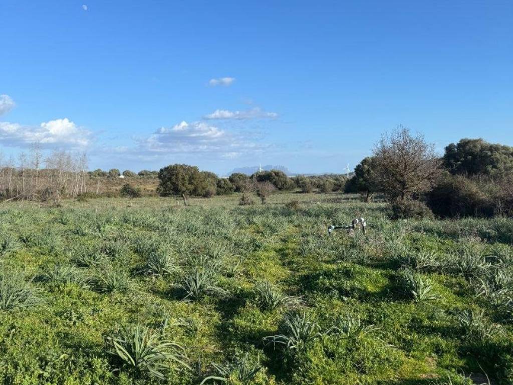 Terreno a Olbia in Via della Cantoniera Putzolu, 92 - Foto 4