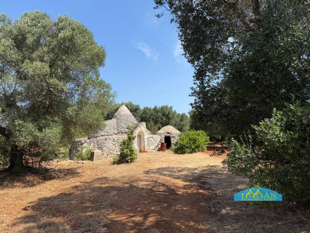 Rustico / casale a Ceglie messapica - Foto 2