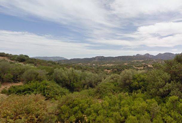 Terreno a Olbia - Foto 3