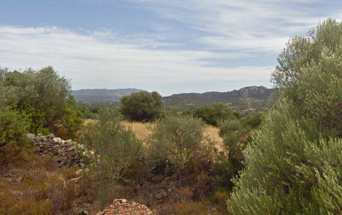 Terreno a Olbia - Foto 4