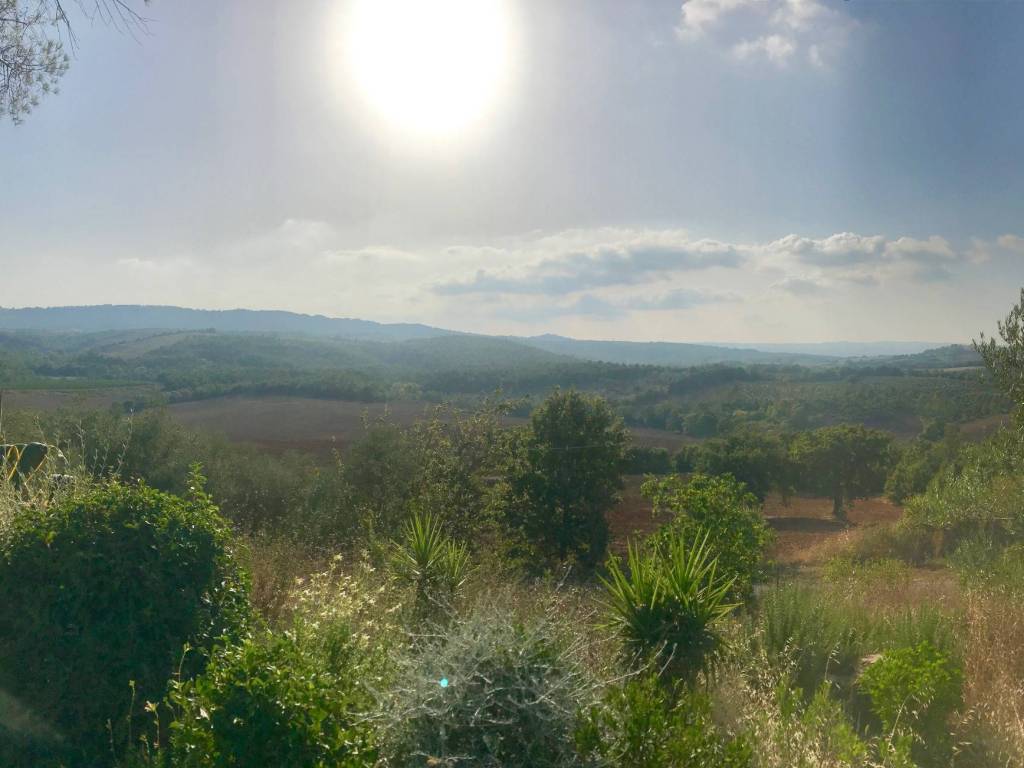 Rustico / casale a Manciano in Strada Provinciale Sovana - Foto 2