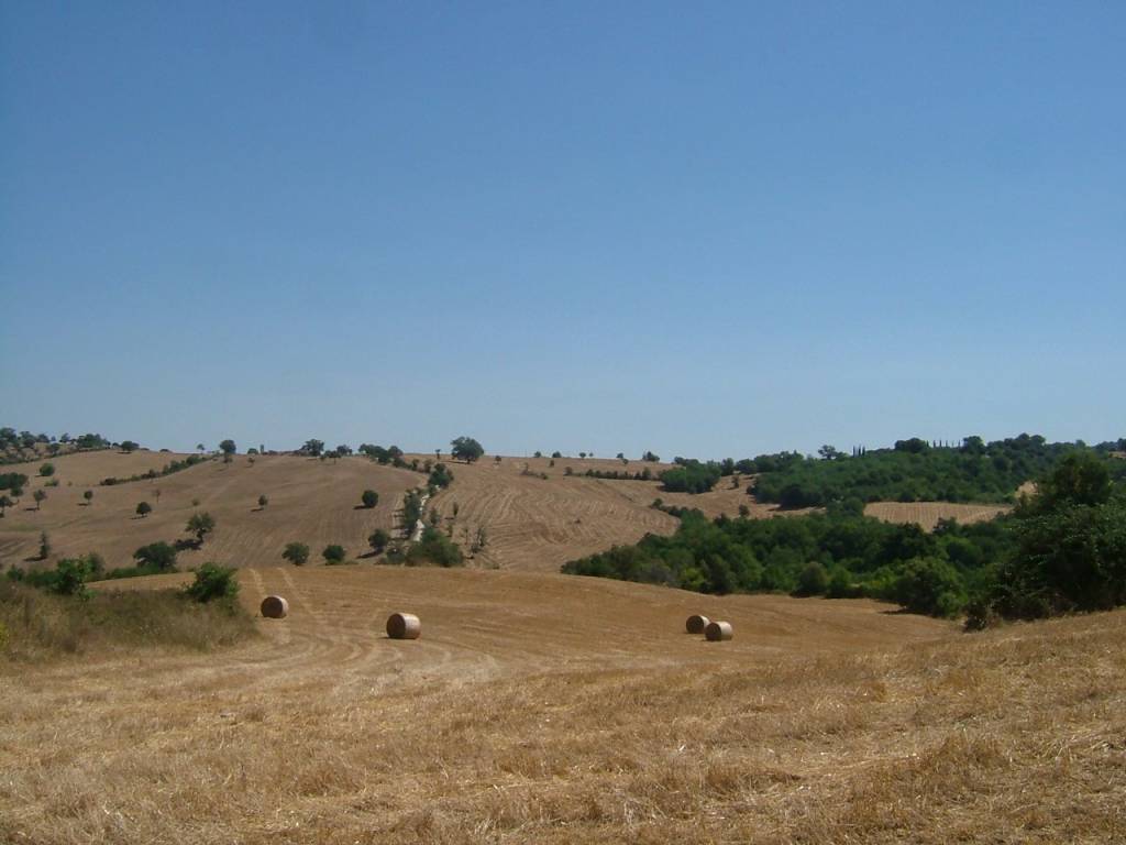 Rustico / casale a Manciano in Strada Provinciale Sovana - Foto 4