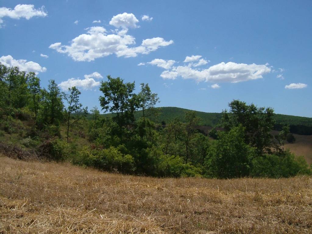 Rustico / casale a Manciano in Strada Provinciale Sovana - Foto 5