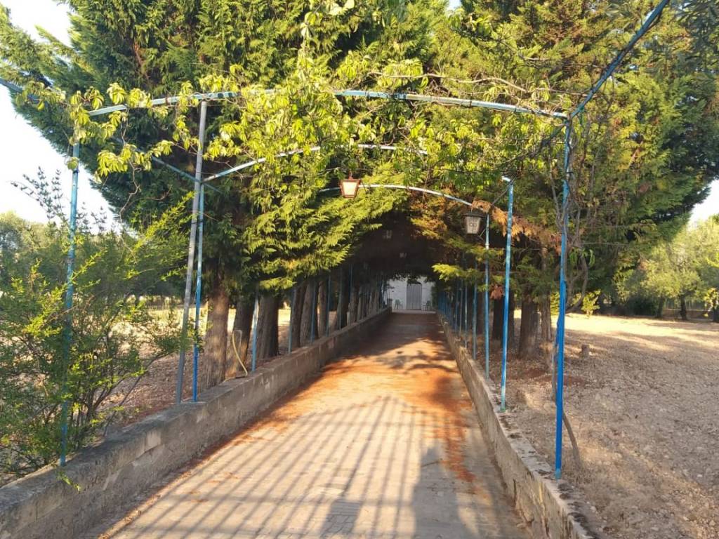 Villa a Trani in Via Monte d'Alba, 47 - Foto 3