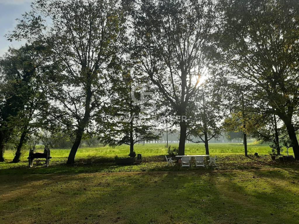 Villa a Nonantola in Via Molza, 19 - Foto 5