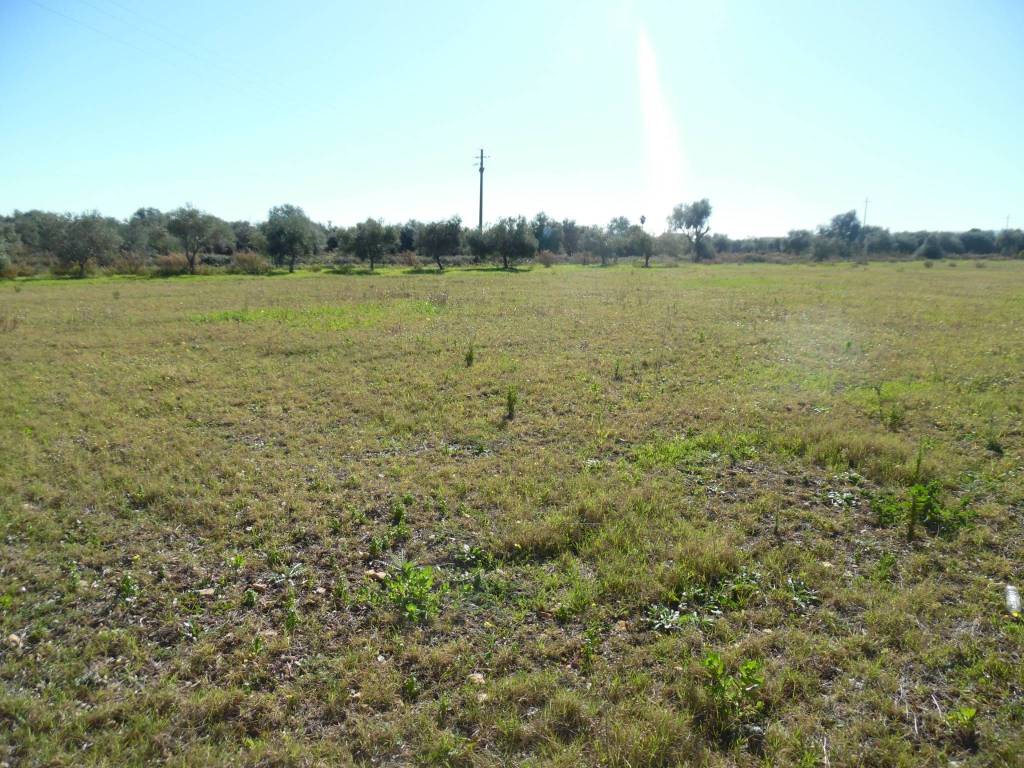 Terreno a Floridia - Foto 2