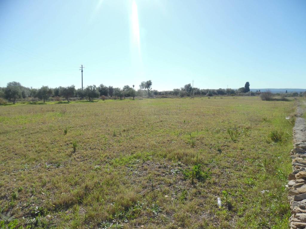 Terreno a Floridia - Foto 4