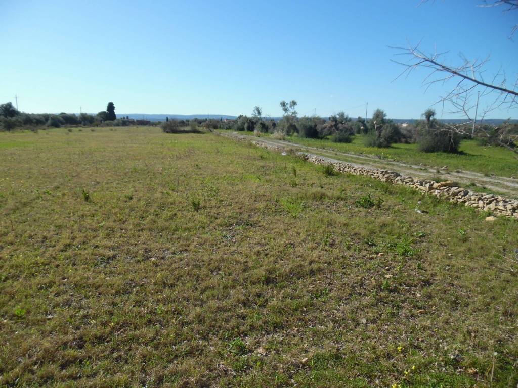 Terreno a Floridia - Foto 5