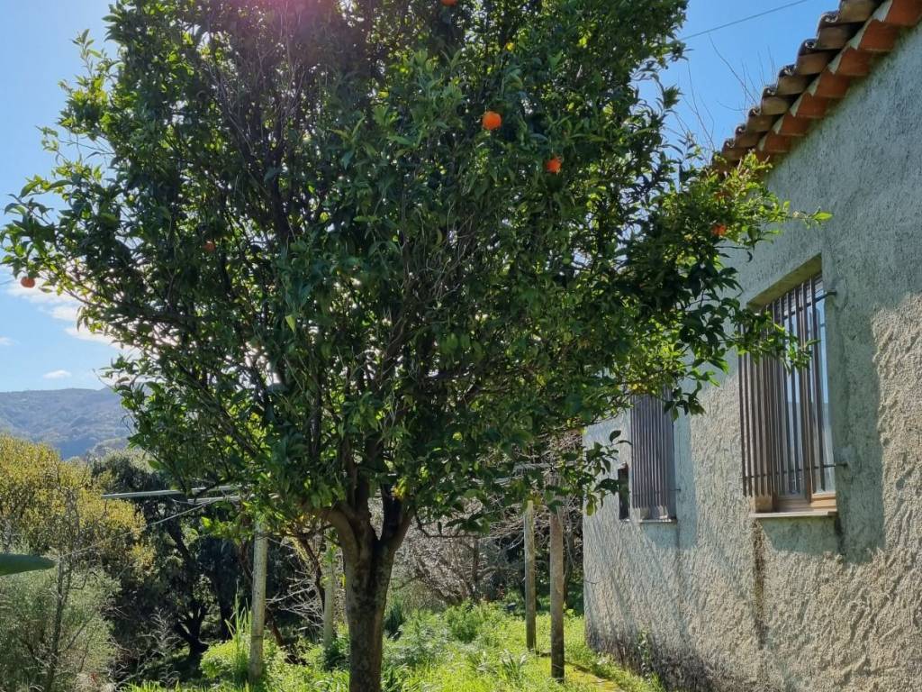 Terreno a Ficarra in SP145 - Foto 2