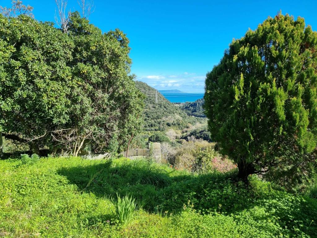 Terreno a Ficarra in SP145 - Foto 4