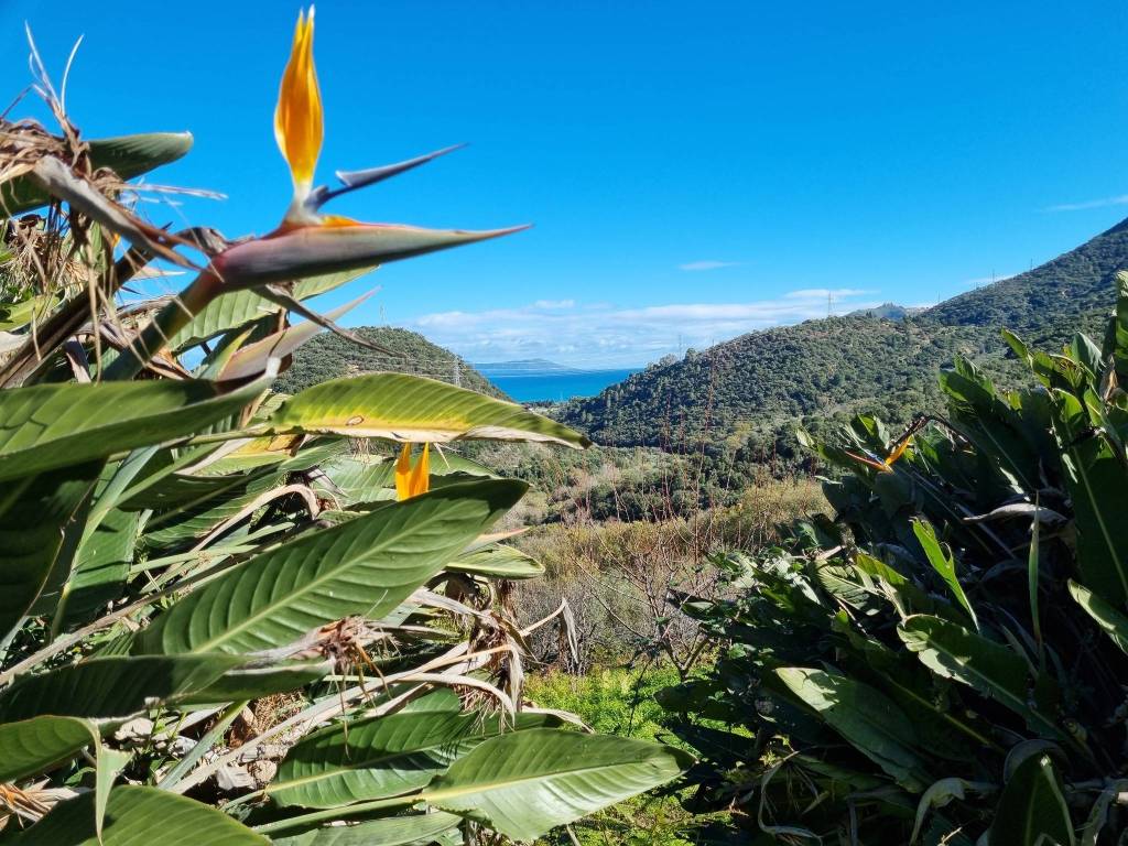 Terreno a Ficarra in SP145 - Foto 5