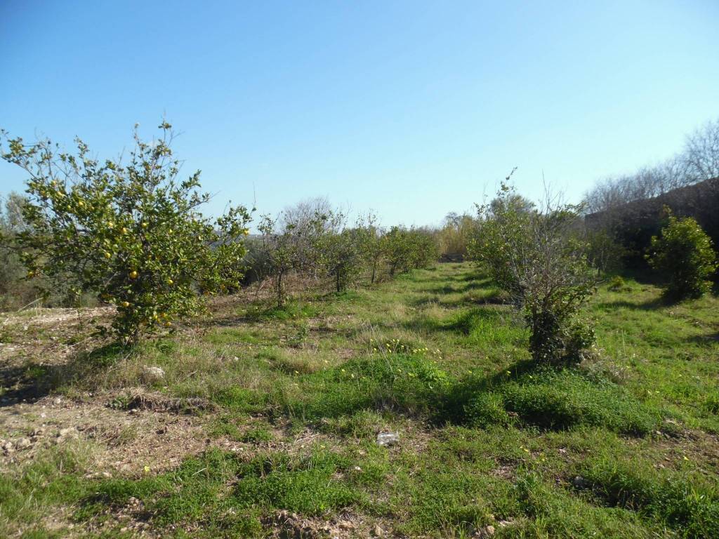 Terreno a Floridia - Foto 3