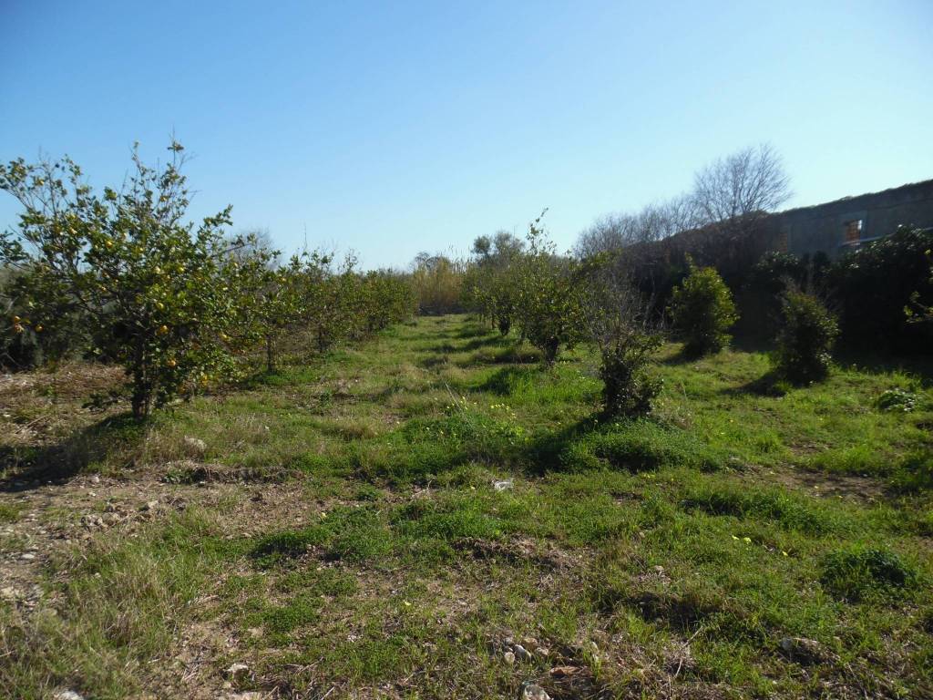 Terreno a Floridia - Foto 4