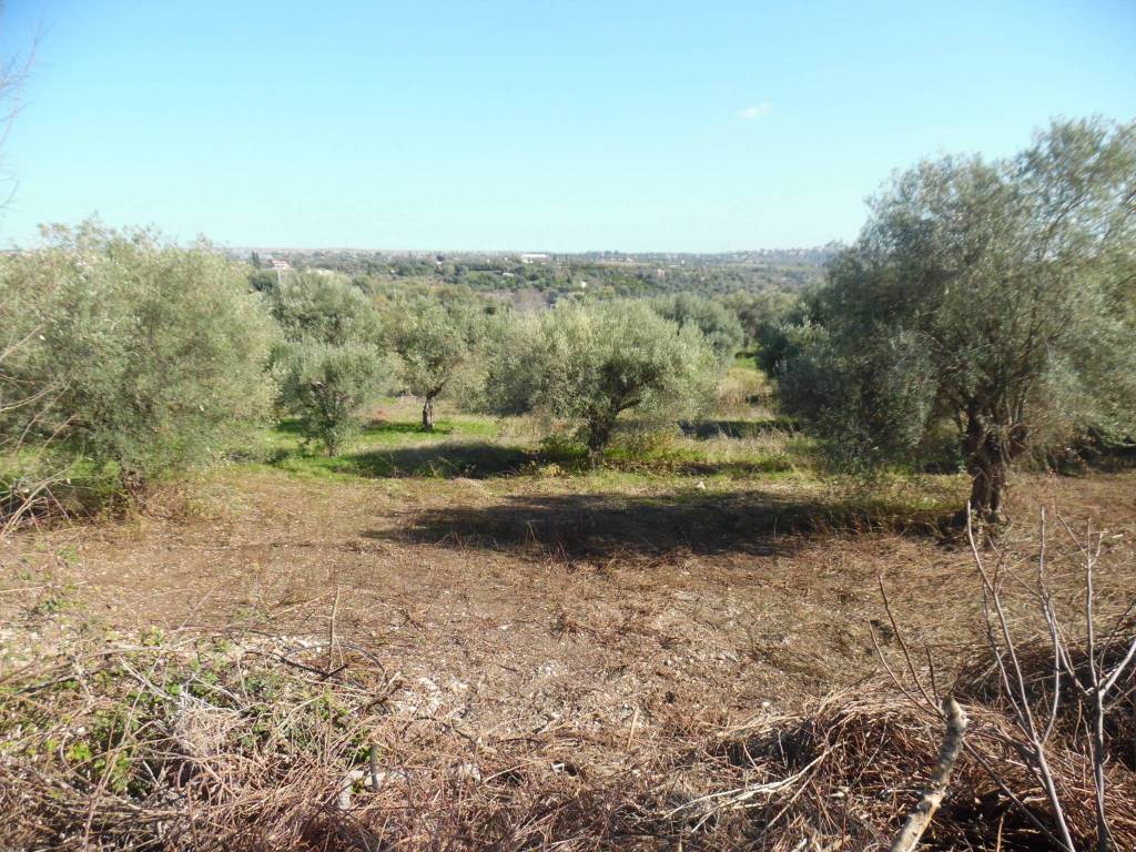 Terreno a Floridia - Foto 5