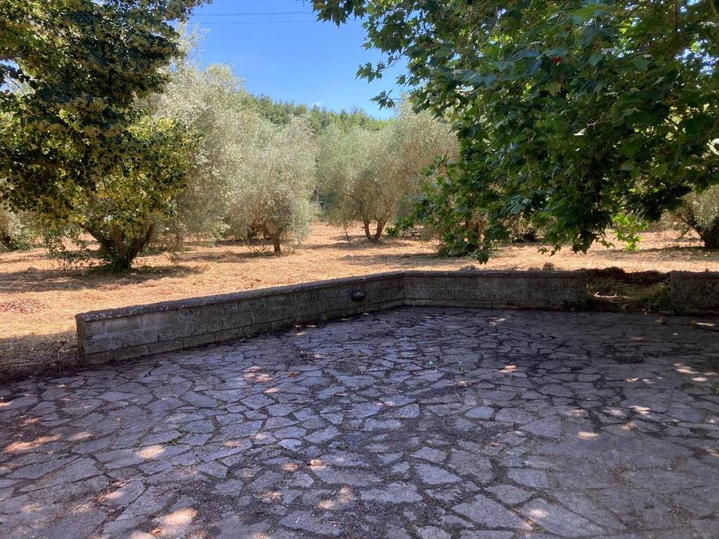 Casa indipendente a Pitigliano in Località La Rotta - Foto 5