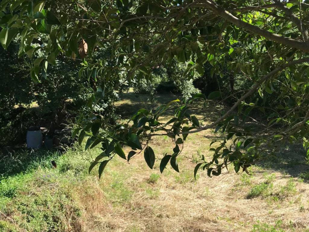 Rustico / casale a Sorano - Foto 4