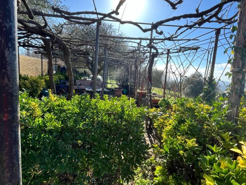 Rustico / casale a Sorano in Strada Provinciale Montebuono, 23 - Foto 5