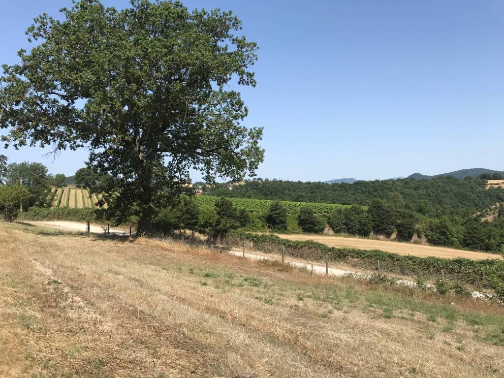 Rustico / casale a Sorano in Strada Provinciale Sovana - Foto 5