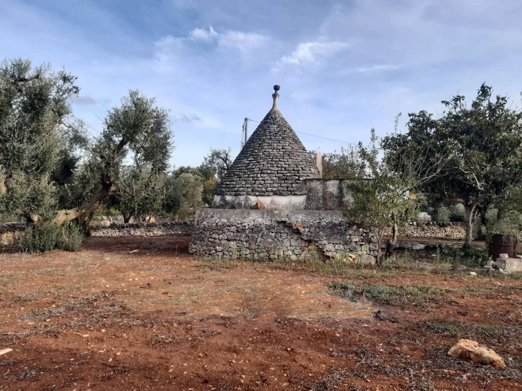 Rustico / casale a Ostuni in Strada Provinciale 14 S.N.C. - Foto 2