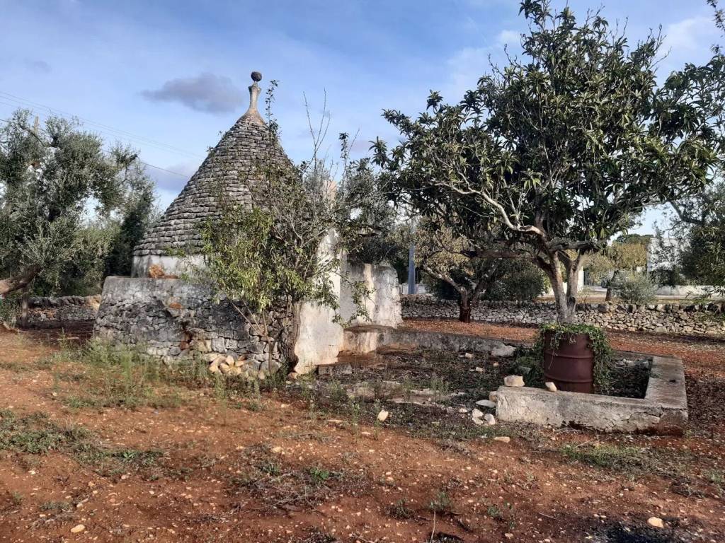 Rustico / casale a Ostuni in Strada Provinciale 14 S.N.C. - Foto 3