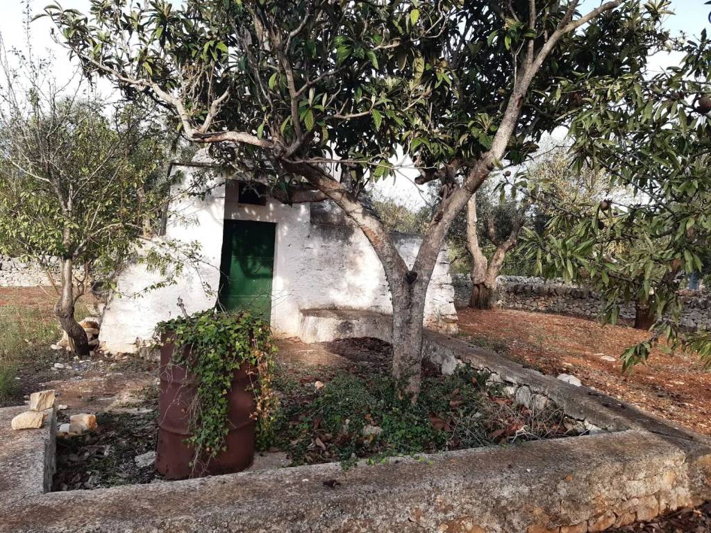 Rustico / casale a Ostuni in Strada Provinciale 14 S.N.C. - Foto 4